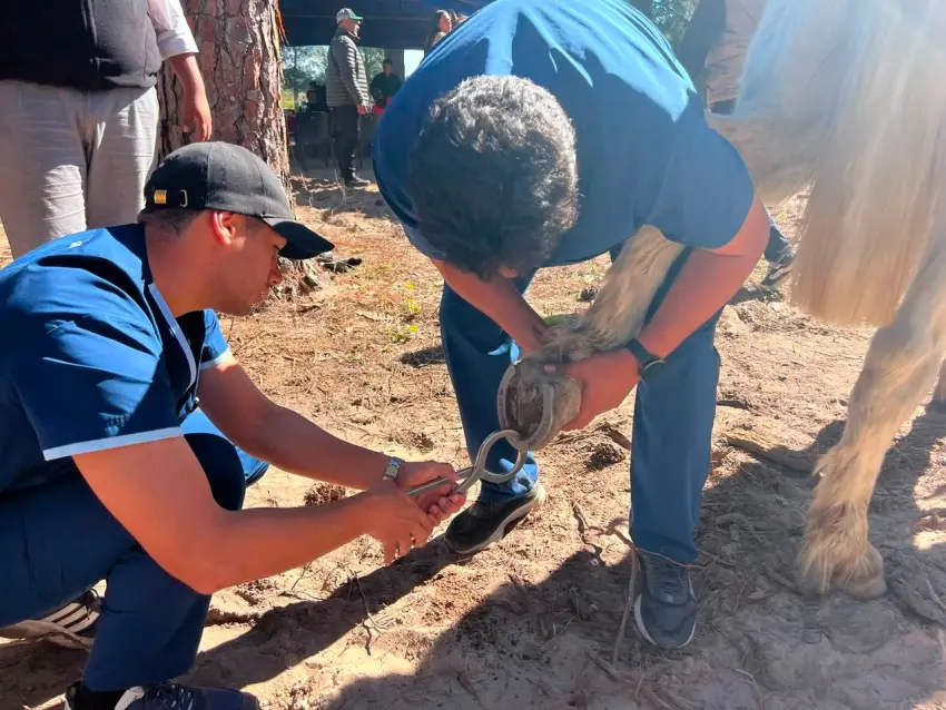 Salud Pública de Corrientes realizó más de mil atenciones en la 126ª Peregrinación de San Luis del Palmar a Itatí
