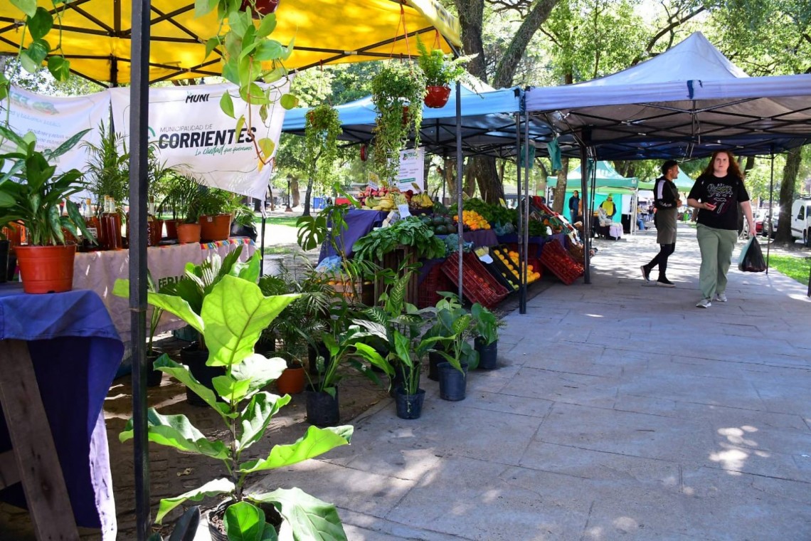 feria de la ciudad.jpeg Desde hoy la Municipalidad invita a recorrer una nueva semana de Ferias de la Ciudad