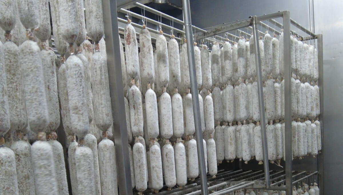 La genética del salame: en Oncativo fortalecen una única raza porcina para mejorar sus chacinados