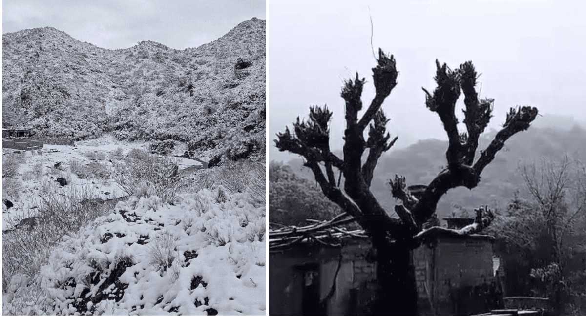 Nevó en las Sierras de Valle Fértil: se mantiene el frío e inestabilidad en toda la provincia Nevó en las Sierras de Valle Fértil: se mantiene el frío e inestabilidad en toda la provincia