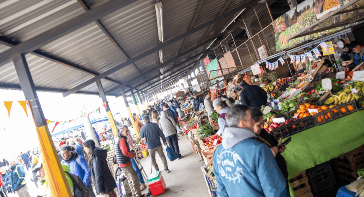 Bajo la premisa “70 años de trabajo, encuentro e identidad sanjuanina”, la Municipalidad de la Ciudad de San Juan conmemoró las siete décadas de existencia de la Feria y Mercado de Abasto Municipal. La jornada festiva reunió a puesteros, productores, trabajadores históricos y vecinos en un evento que combinó actividades culturales, reconocimientos institucionales y el rescate del patrimonio comercial de la provincia. El acto central estuvo encabezado por la intendente de la Capital, Susana Laciar, junto al ministro de Producción, Trabajo e Innovación, Gustavo Fernández, acompañados por funcionarios municipales y representantes del sector productivo. Durante la mañana, el público presente disfrutó de intervenciones artísticas y compartió el tradicional chocolate con churros en las instalaciones del predio. Uno de los momentos salientes de la conmemoración fue el descubrimiento de una placa de homenaje y la inauguración formal de un espacio museológico dentro de la feria. Este rincón de la memoria exhibe objetos de valor histórico recuperados gracias a la colaboración de los propios puesteros. Entre las piezas destacadas se encuentran un juego de arado y herramientas de cosecha de vid, balanzas de precisión y un microscopio utilizados en los controles sanitarios del antiguo matadero, una máquina cortadora de fiambre de época y la icónica campana metálica que marcaba el inicio y cierre de las jornadas comerciales. Asimismo, la celebración sumó una propuesta plástica en directo a cargo del artista Felipe Lloveras, conocido como “LLove”, quien realizó un mural conmemorativo sobre una de las estructuras del mercado mientras se desarrollaba el evento. Al hacer uso de la palabra, la intendente Susana Laciar expresó su reconocimiento al esfuerzo cotidiano de los comerciantes: Bajo la premisa “70 años de trabajo, encuentro e identidad sanjuanina”, la Municipalidad de la Ciudad de San Juan conmemoró las siete décadas de existencia de la Feria y Mercado de Abasto Municipal. La jornada festiva reunió a puesteros, productores, trabajadores históricos y vecinos en un evento que combinó actividades culturales, reconocimientos institucionales y el rescate del patrimonio comercial de la provincia. El acto central estuvo encabezado por la intendente de la Capital, Susana Laciar, junto al ministro de Producción, Trabajo e Innovación, Gustavo Fernández, acompañados por funcionarios municipales y representantes del sector productivo. Durante la mañana, el público presente disfrutó de intervenciones artísticas y compartió el tradicional chocolate con churros en las instalaciones del predio. Uno de los momentos salientes de la conmemoración fue el descubrimiento de una placa de homenaje y la inauguración formal de un espacio museológico dentro de la feria. Este rincón de la memoria exhibe objetos de valor histórico recuperados gracias a la colaboración de los propios puesteros. Entre las piezas destacadas se encuentran un juego de arado y herramientas de cosecha de vid, balanzas de precisión y un microscopio utilizados en los controles sanitarios del antiguo matadero, una máquina cortadora de fiambre de época y la icónica campana metálica que marcaba el inicio y cierre de las jornadas comerciales. Asimismo, la celebración sumó una propuesta plástica en directo a cargo del artista Felipe Lloveras, conocido como “LLove”, quien realizó un mural conmemorativo sobre una de las estructuras del mercado mientras se desarrollaba el evento. Al hacer uso de la palabra, la intendente Susana Laciar expresó su reconocimiento al esfuerzo cotidiano de los comerciantes:
