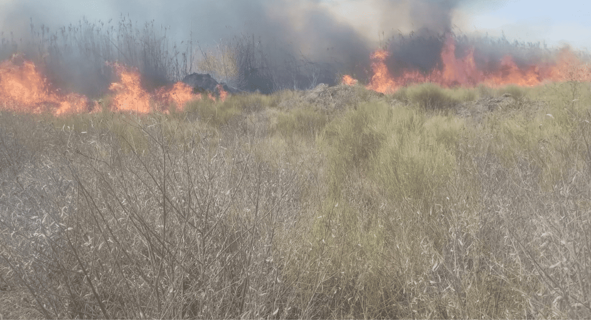 Rawson: Protección Civil combate incendios en Médano de Oro y pide no realizar quemas Rawson: Protección Civil combate incendios en Médano de Oro y pide no realizar quemas