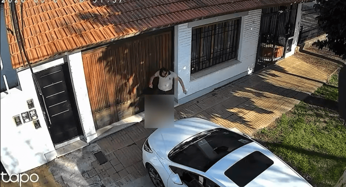 Salvaje maltrato animal en Temperley: un adolescente le aplastó la cabeza a un gato