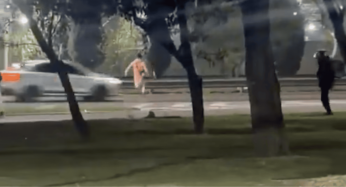 Escalofriante video: embistieron a un chico de 13 años en la autopista tras un presunto robo
