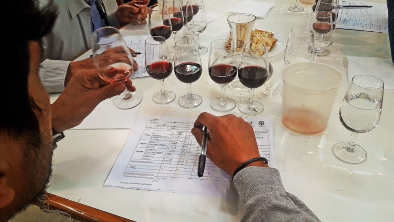 El Concurso Nacional de Vinos Cata San Juan presenta una nueva edición en La Rural