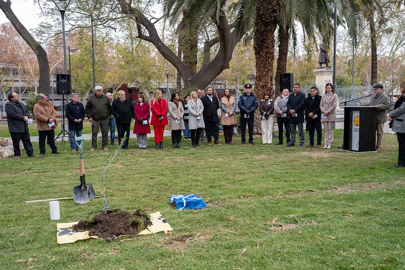 La Ciudad de San Juan renovó su compromiso con la paz a través de la tradicional plantación del olivo