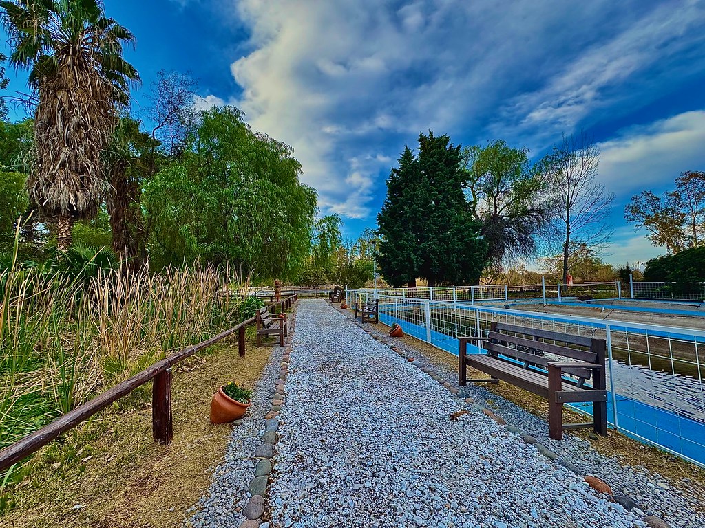 La Dirección de Ecología Urbana de la Secretaría de Ambiente y Desarrollo Sustentable dio a conocer los resultados del concurso de fotografía “Miradas del Parque”.