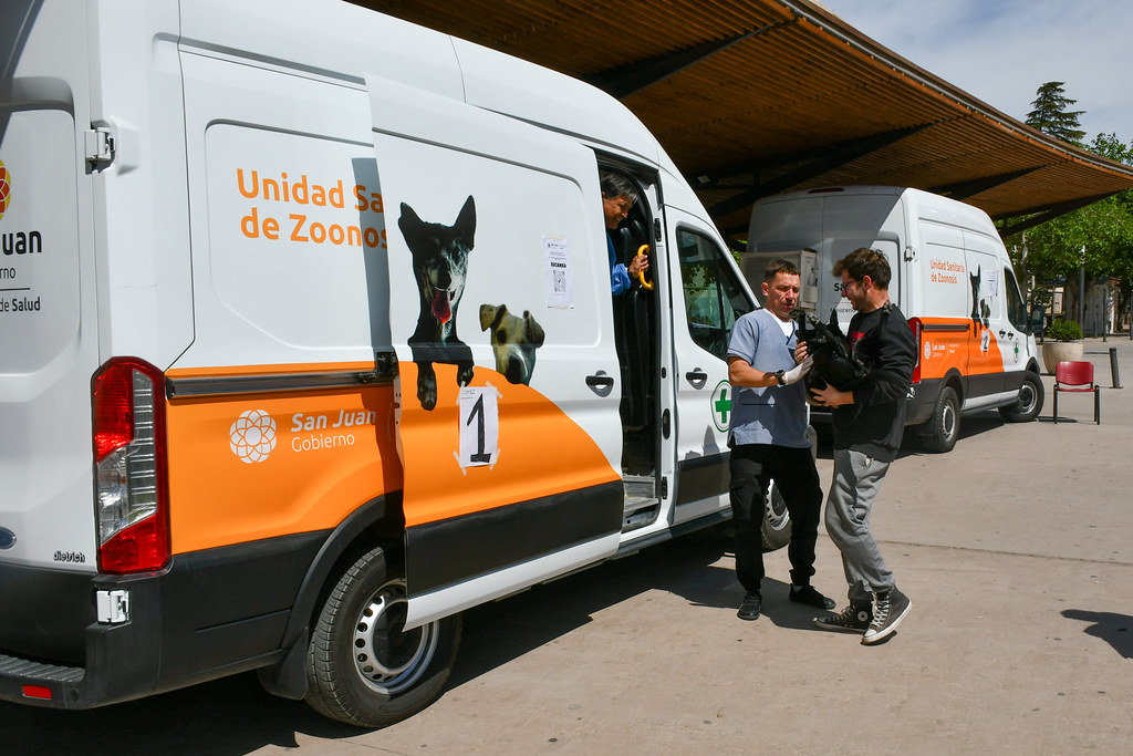 55576602536_bd1ddfebb6_b.jpg San Juan fortaleció las acciones de prevención de zoonosis con una jornada de castración masiva