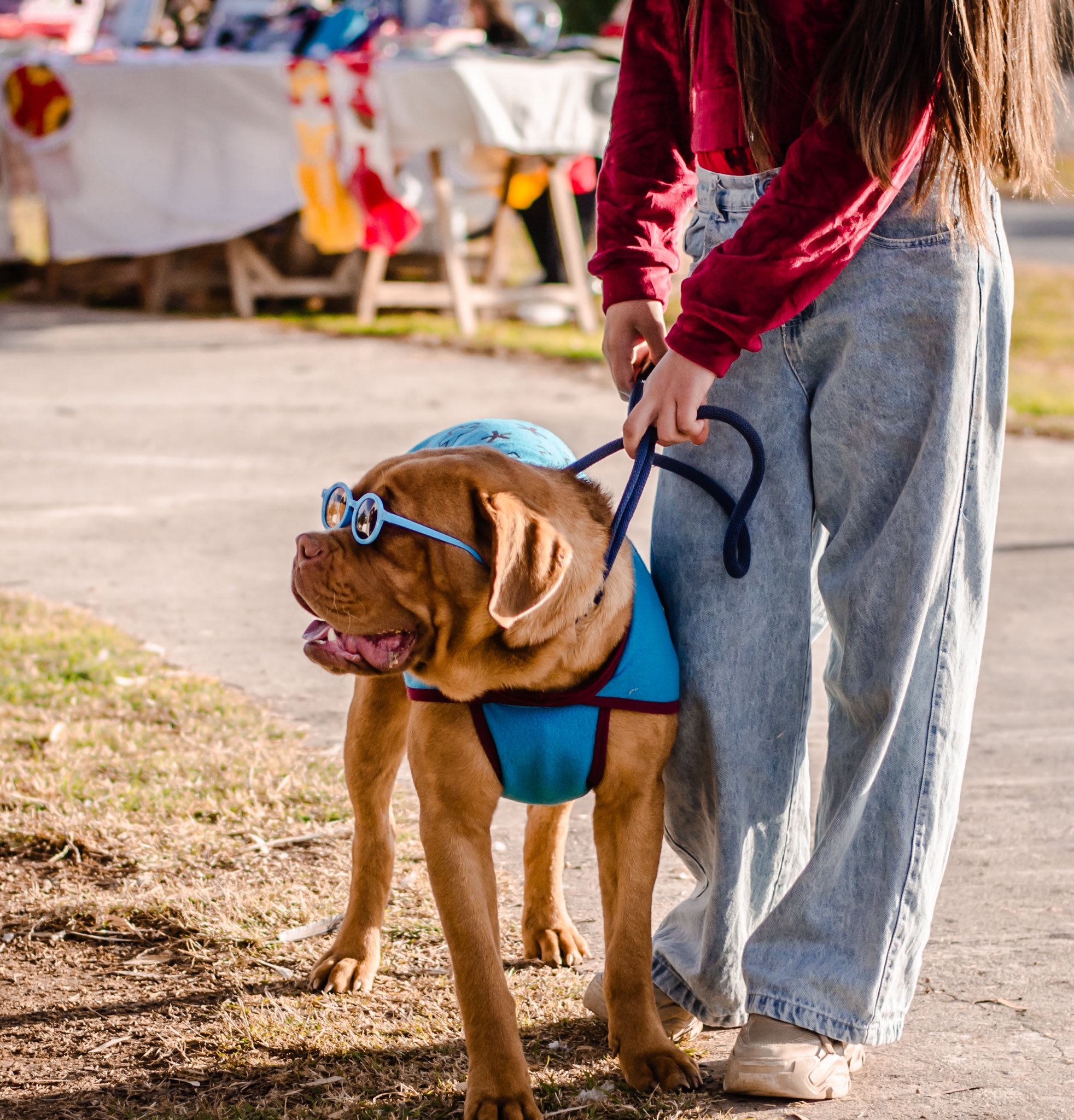 Durante el fin de semana Caucete vivio  una hermosa jornada en el gran desfile de mascotas, junto a artesanos, emprendedores y muchas familias que se acercaron a compartir .