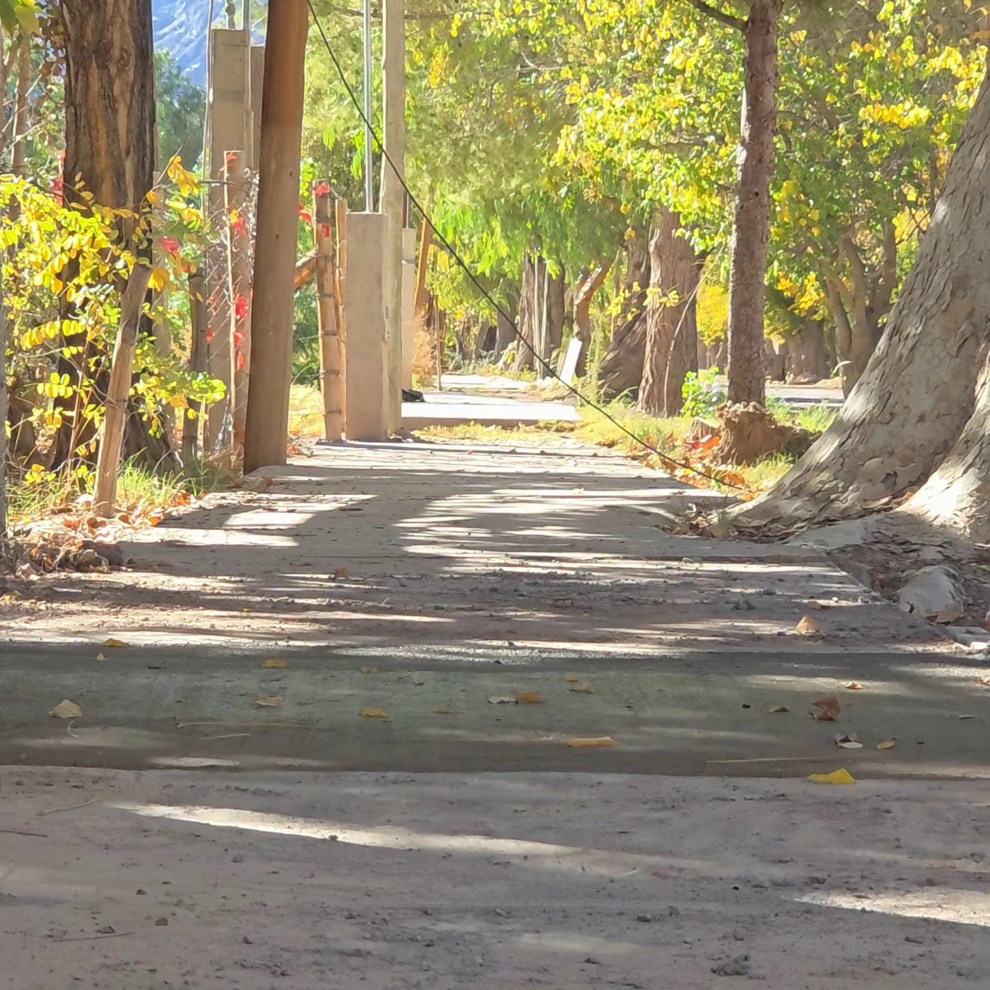 En Tamberías la gestion del intendente Sebastian Carbajal sigue  avanzando con obras y tareas de mantenimiento en distintos sectores de la localidad.