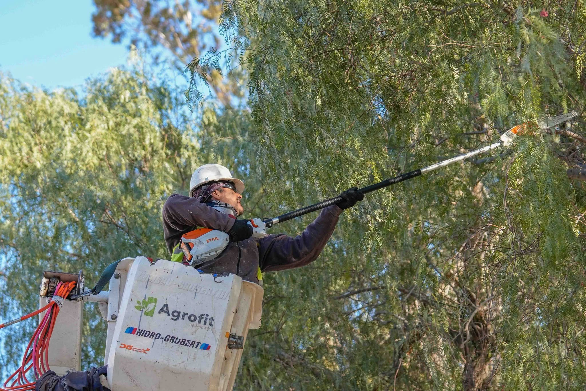 Arranco el Operativo de Poda en Chimbas.