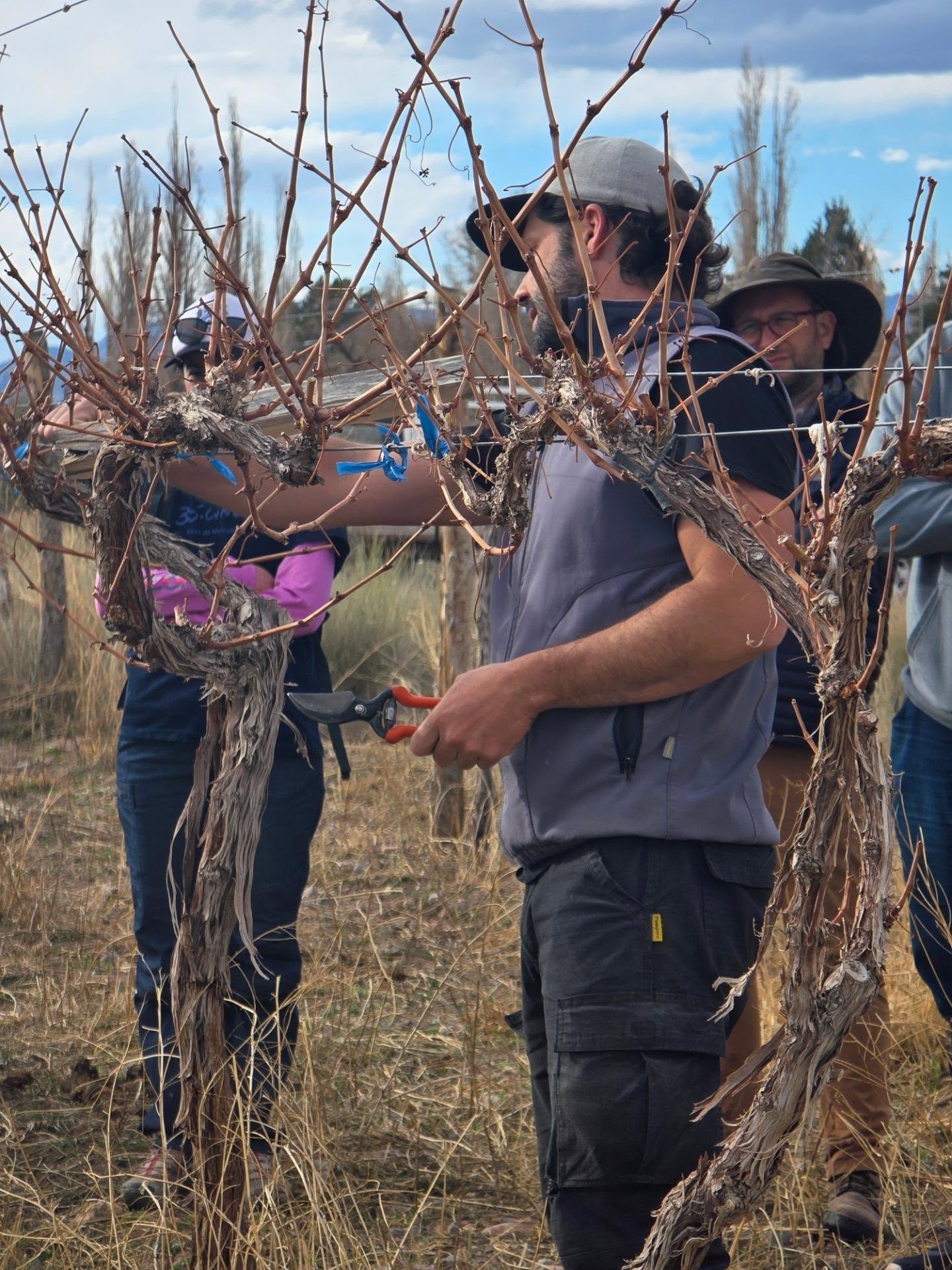 La Municipalidad de Calingasta, junto a la Cooperativa Agropecuaria Entre Montañas, llevó adelante una jornada teórico-práctica de poda invernal en viñedos