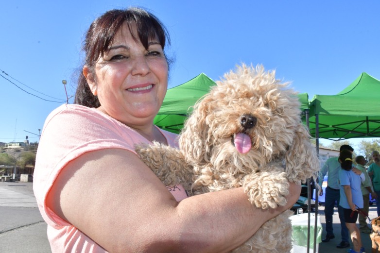 La Secretaría de Ambiente y Desarrollo Sustentable pondrá en funcionamiento el quirófano móvil de esterilización para perros y gatos en Rivadavia.