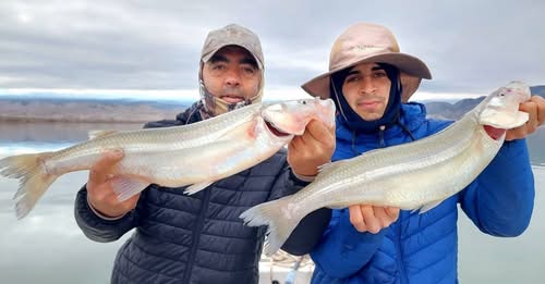 Rodeo y el Dique Cuesta del Viento vuelven a destacarse a nivel nacional como uno de los destinos más atractivos para la pesca deportiva del pejerrey.