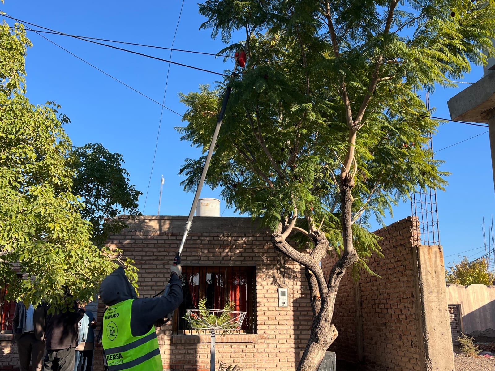 Bajo el lema,Cuidar nuestros espacios verdes también es cuidar a cada vecino,el municipio de Rivadavia comenzo con las tareas de poda en todo el departamento.