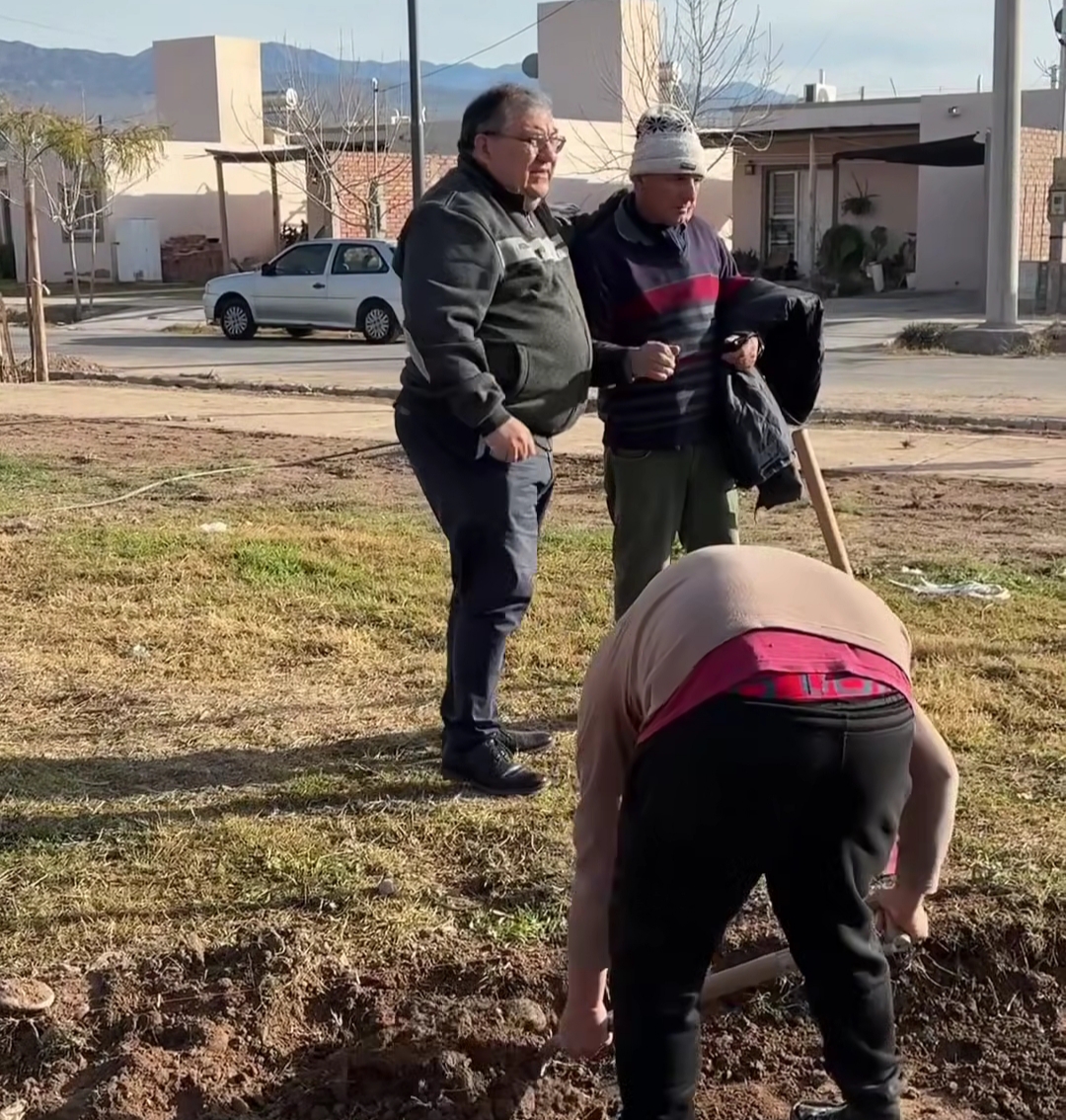 El Paseo Grimalt avanza a buen ritmo y comienza a tomar forma ese nuevo espacio verde de Ullum que transforma el paisaje urbano y sigue sumando calidad de vida para la comunidad.