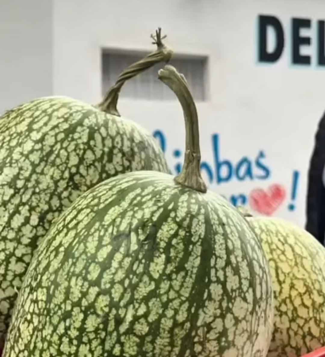 Este sábado llega la II Feria Agroproductiva de La Chacra a tu Mesa en Chimbas.