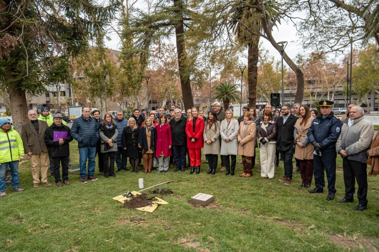La ceremonia del Olivo de la Paz renovó el compromiso con el diálogo y el respeto mutuo