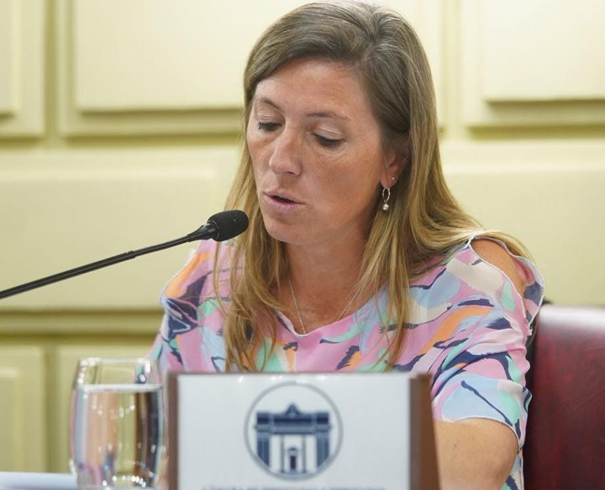 Exigen definiciones al Gobierno provincial en salud mental, búsqueda de menores y alimentación escolar