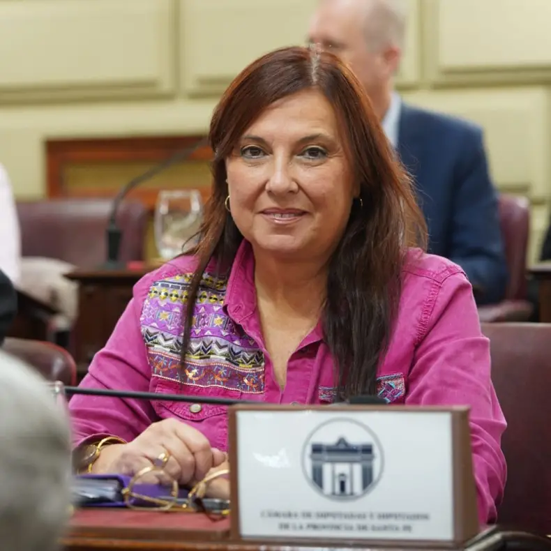 Reforma electoral: el PJ presentó un proyecto unificado para modificar el sistema de votación en Santa Fe