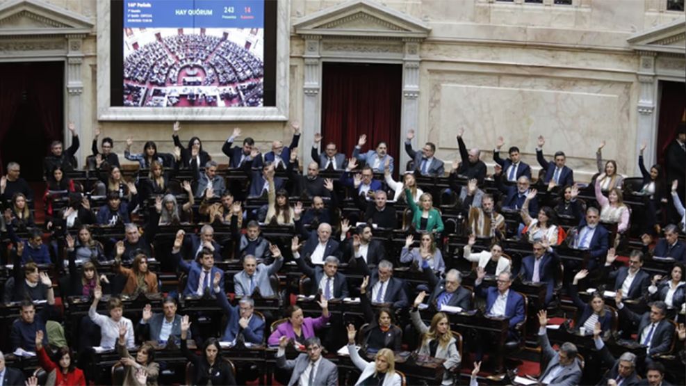 Diputados aprobó sin sobresaltos el plan de trabajo opositor sobre discapacidad y sobreendeudamiento familiar