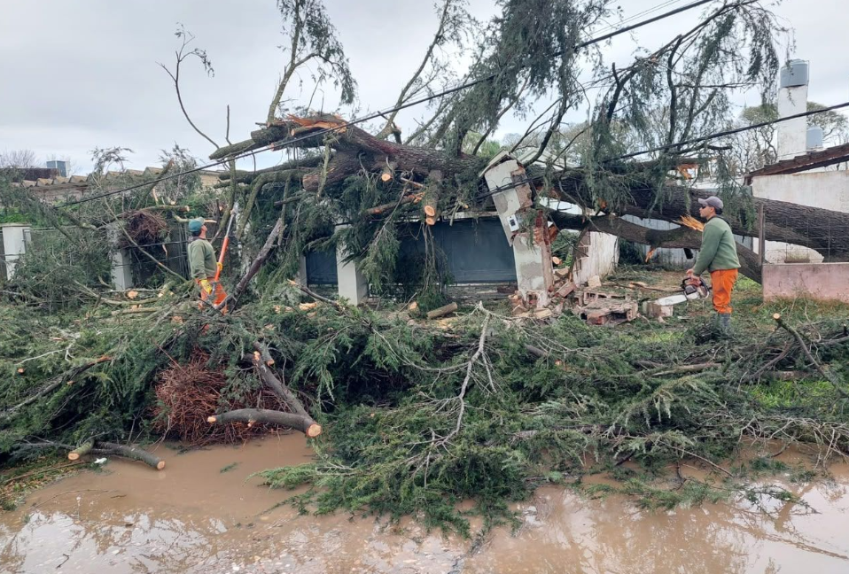 Temporal en Santa Fe: la Provincia despliega asistencia urgente en Las Rosas y San Genaro tras los graves daños