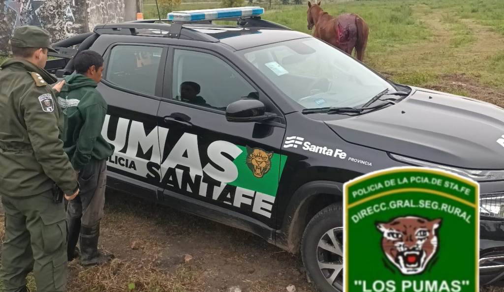 “Los Pumas” de Florencia esclarecieron un abigeato y detuvieron a dos delincuentes rurales.