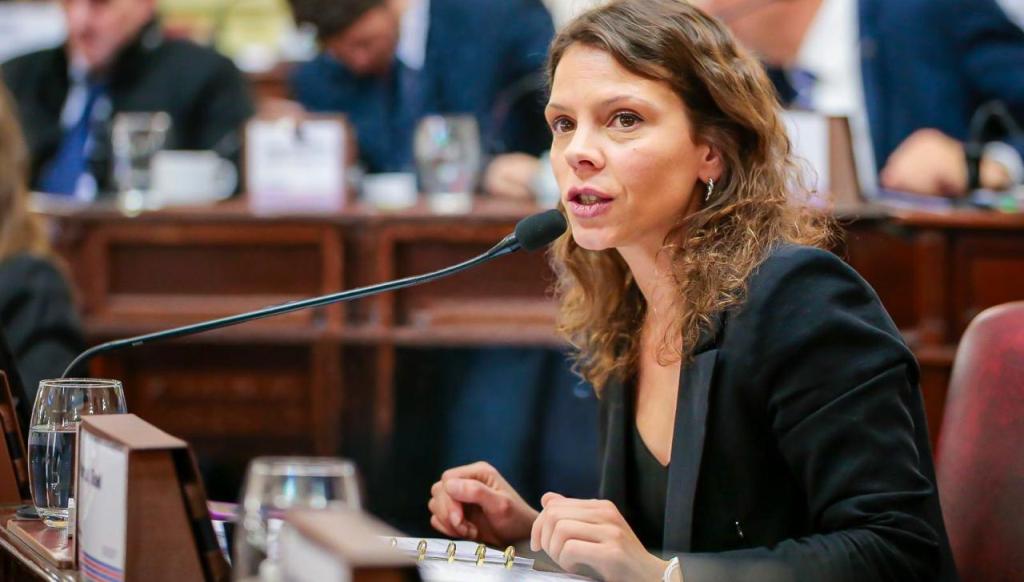 La diputada provincial Gisel Mahmud impulsa una ley para que las familias endeudadas puedan negociar todas sus deudas juntas.