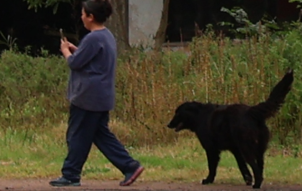 IMG_3910.jpeg