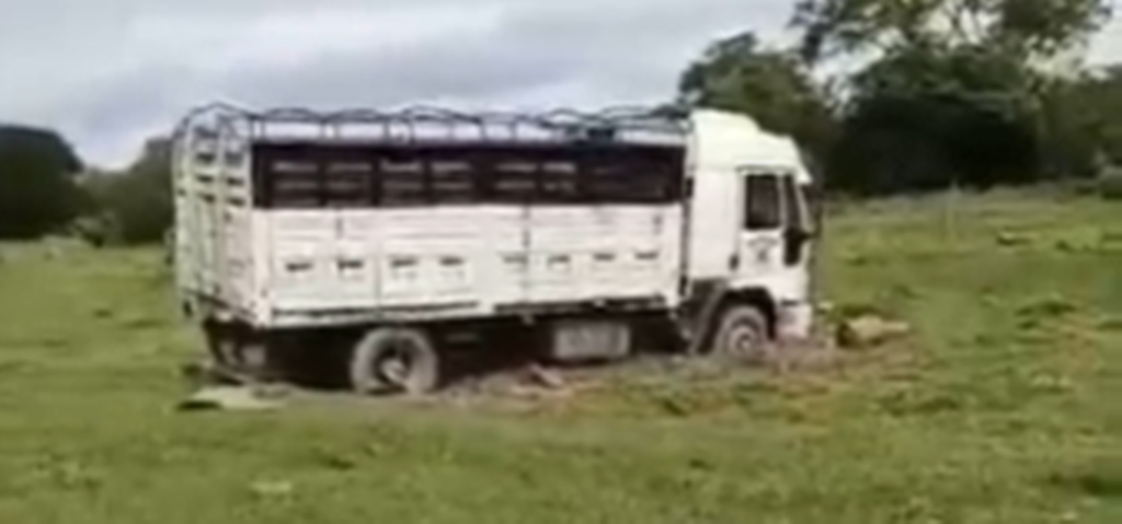 Un camión de Las Toscas que trasladaba hacienda de la zona de Islas quedó empantanado en el paraje “Bajo Méndez”, voló la alcantarilla y quedo atrapado.
