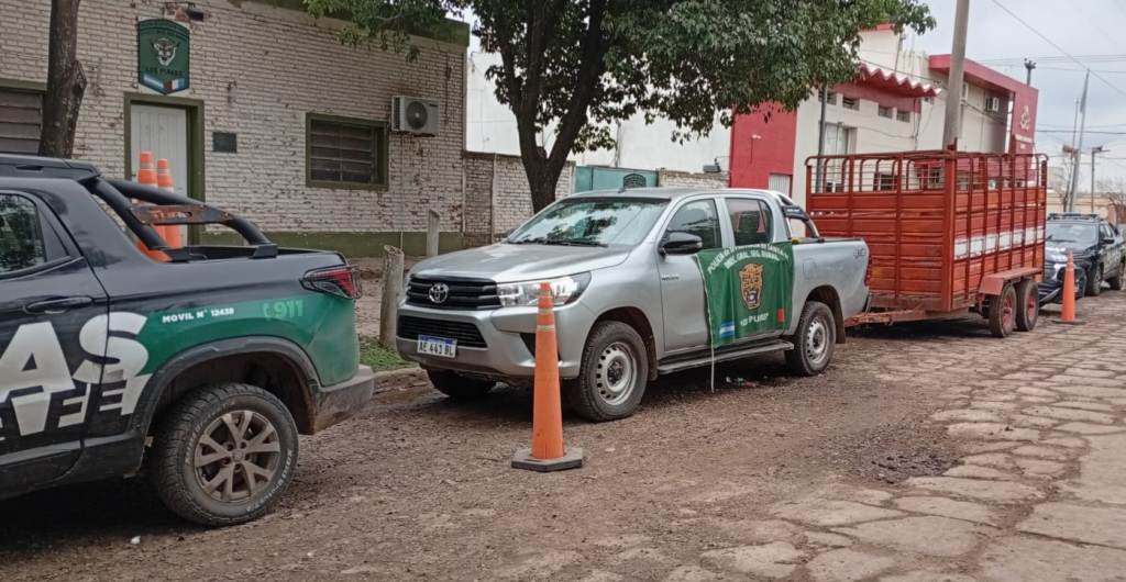 “Los Pumas” de la localidad de Ceres junto a las secciones 13 y 23, esclarecieron el robo de animales a gran escala y detuvieron  a un productor delincuente.