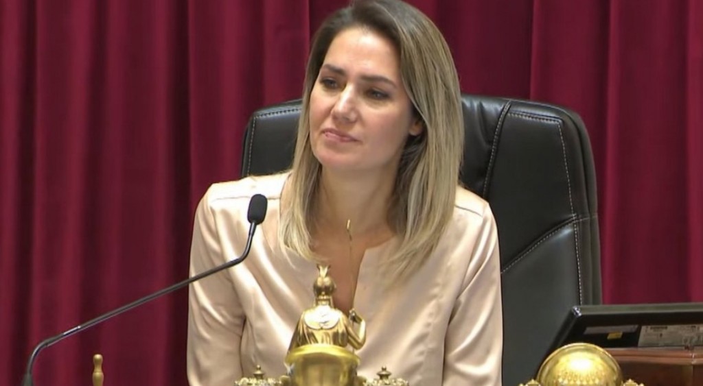 “El mundo vuelve a mirar a la Argentina y queremos que encuentre a Santa Fe como protagonista”, manifestó Carolina Losada.