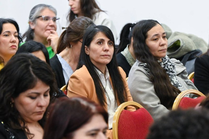 EL MUNICIPIO DE TOLHUIN PARTICIPÓ DE LA AUDIENCIA PÚBLICA POR LA DEFENSORÍA DE NIÑAS, NIÑOS Y ADOLESCENTES