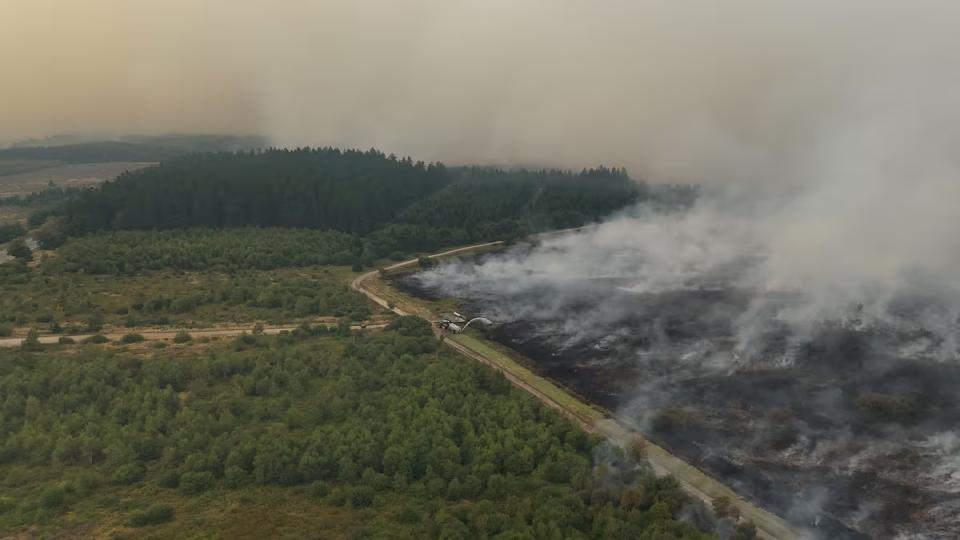 EUROPA ENFRENTA UNA NUEVA OLA DE INCENDIOS FORESTALES: BÉLGICA REGISTRA EL MAYOR FUEGO DE SU HISTORIA