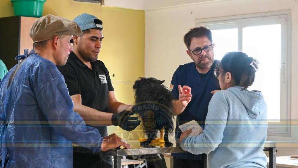 EL MUNICIPIO DE TOLHUIN BRINDA RECOMENDACIONES PARA PREVENIR EL MOQUILLO CANINO