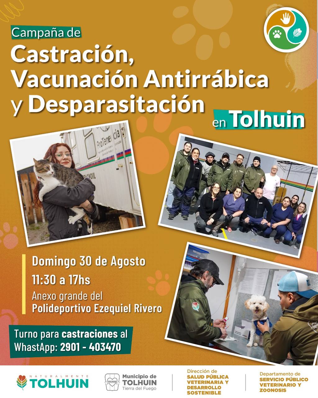 TOLHUIN REALIZARÁ UNA NUEVA CAMPAÑA GRATUITA DE CASTRACIÓN, VACUNACIÓN Y DESPARASITACIÓN