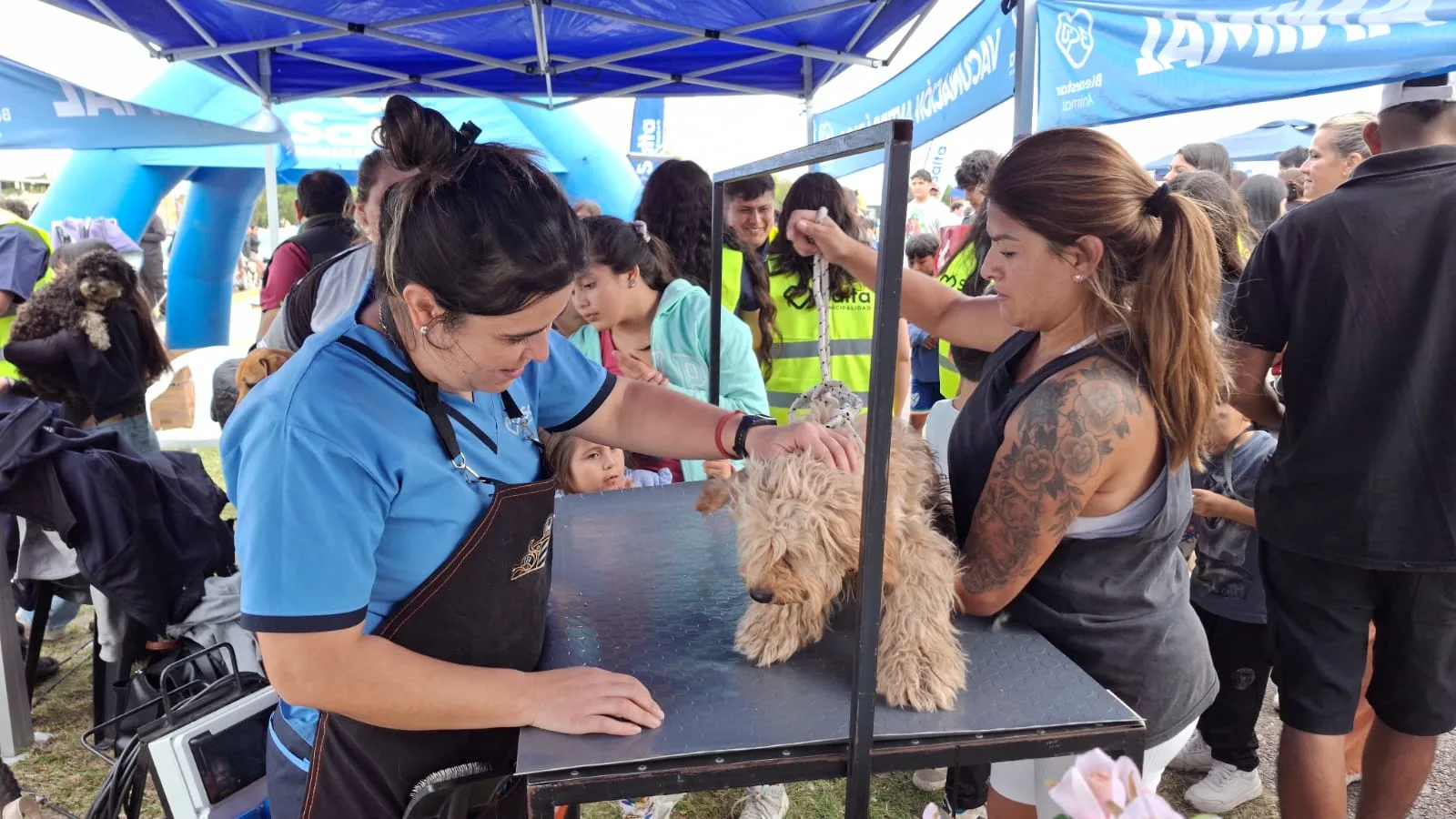 La Muni Animal llega a Tres Cerritos con servicios gratuitos para perros y gatos