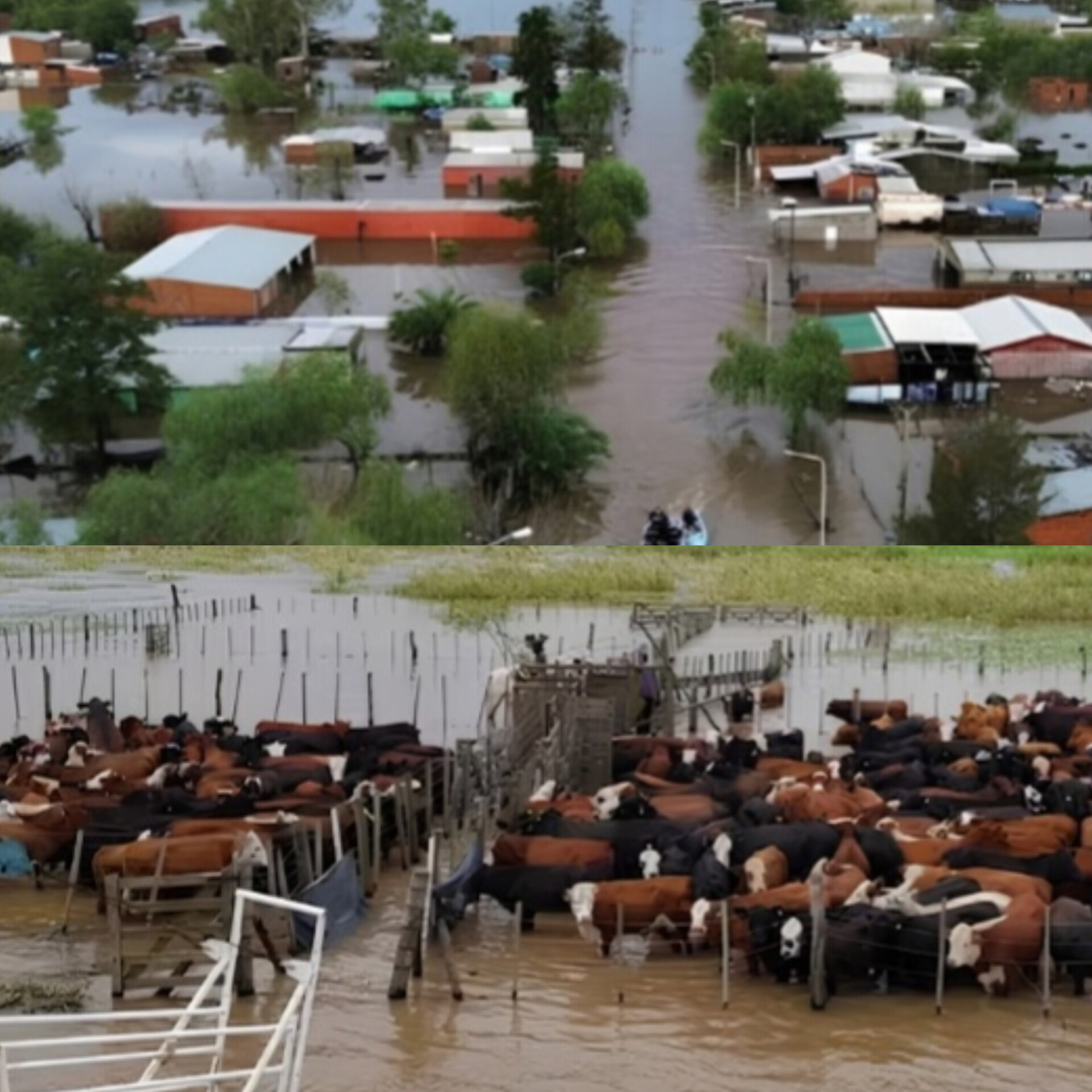 El Niño en el centro de la agenda: habrá una jornada informativa en Makallé sobre prevención y manejo productivo