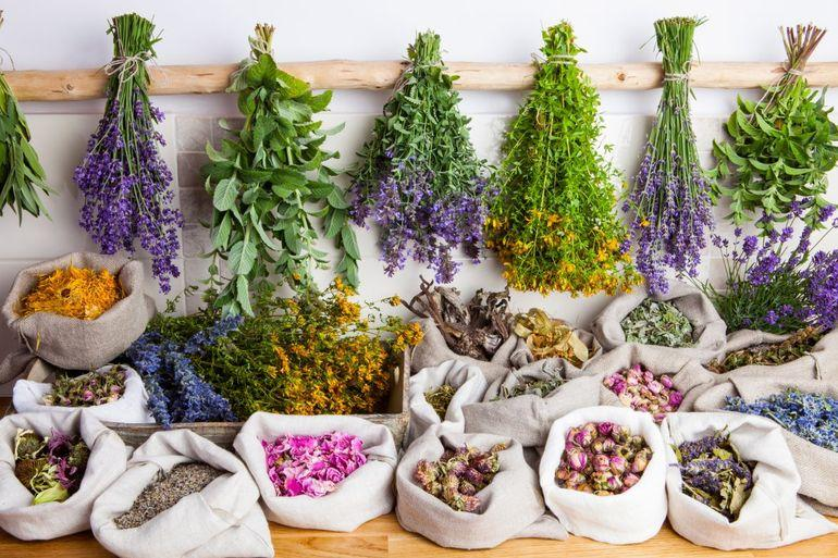 Medicina natural: beneficios, usos y precauciones para una utilización segura