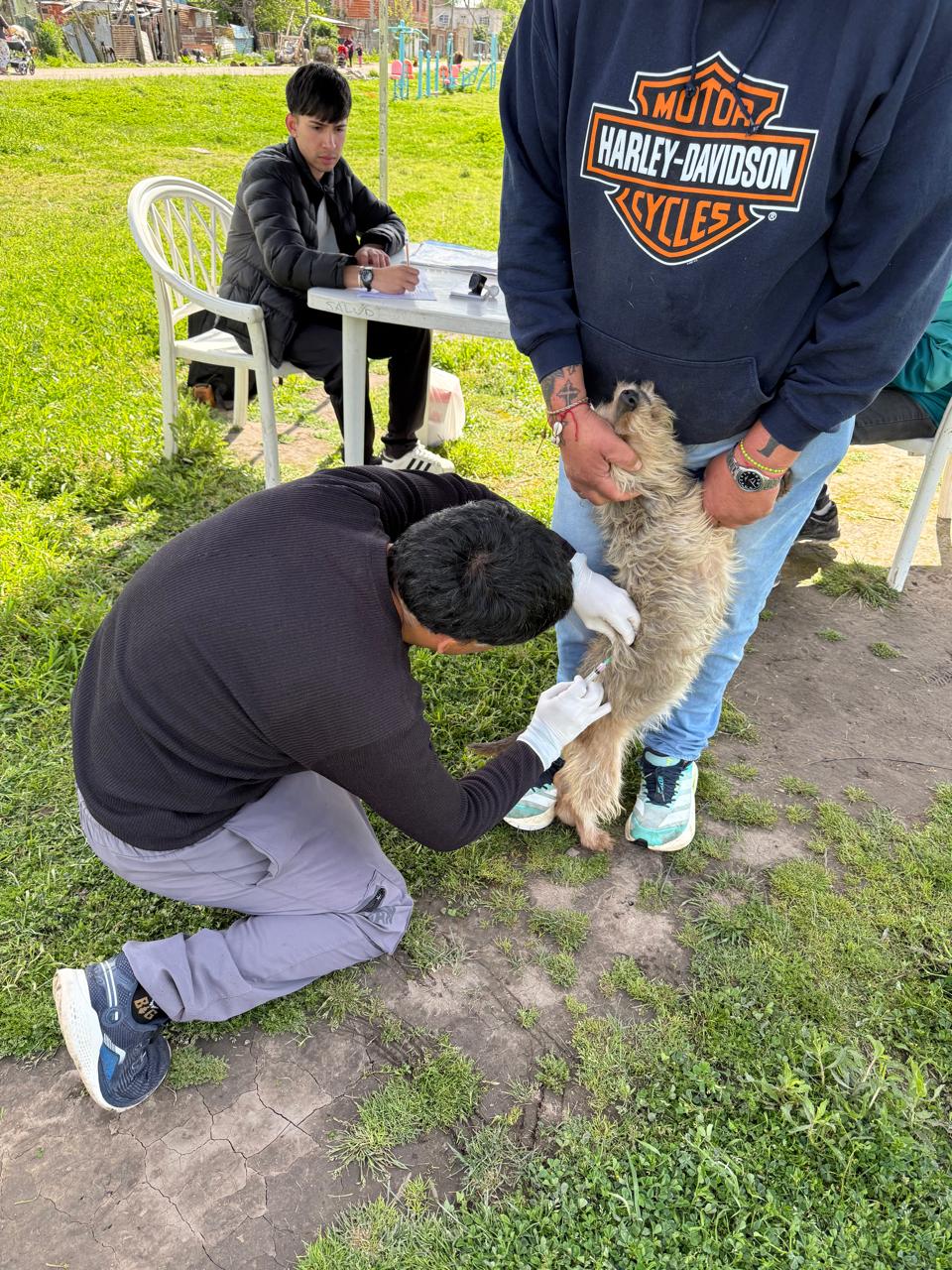 EL MUNICIPIO LLEVA ADELANTE OPERATIVOS GRATUITOS DE VACUNACIÓN ANTIRRÁBICA EN LOS BARRIOS