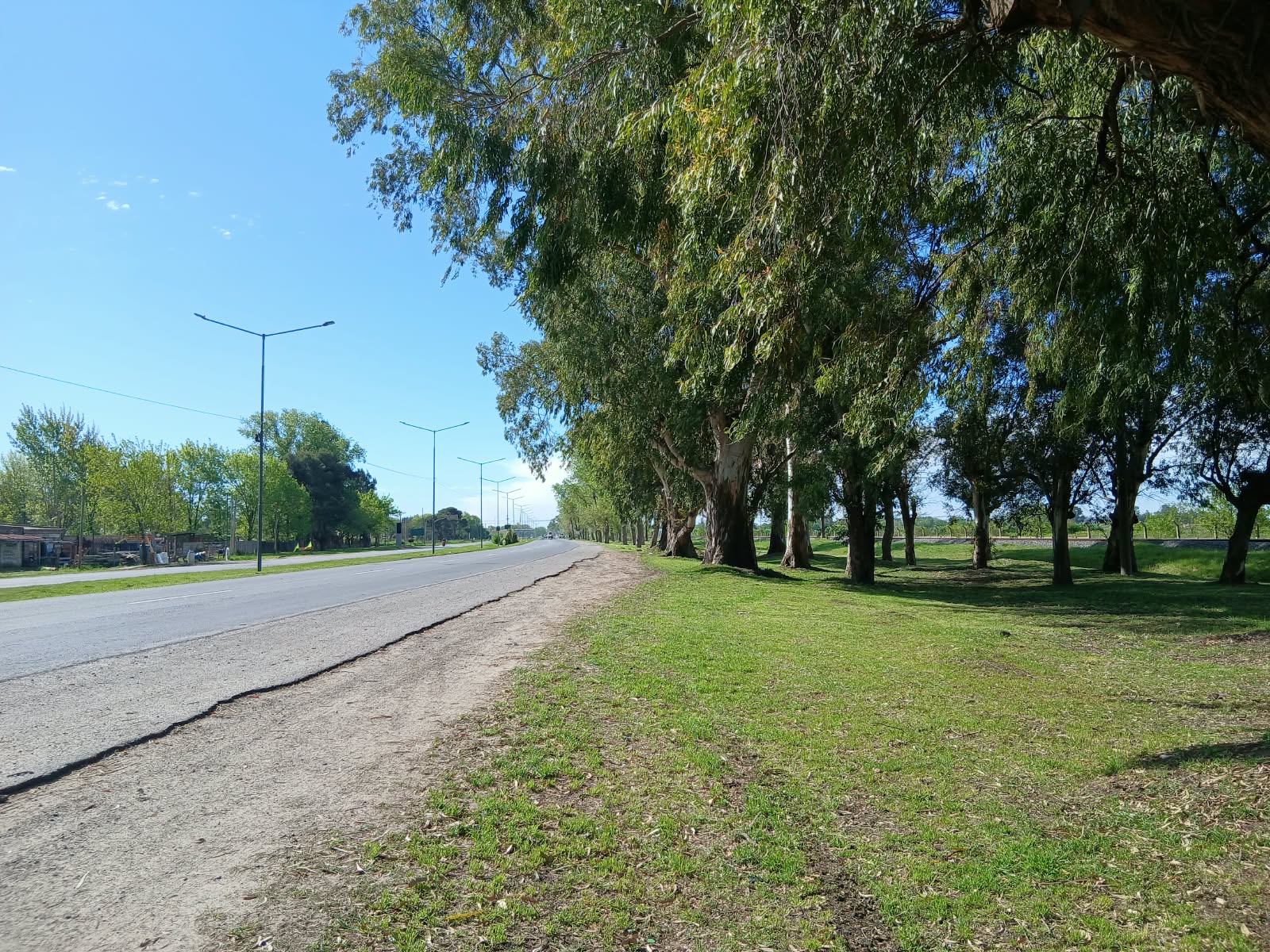 EL MUNICIPIO REALIZÓ TAREAS DE CORTE DE PASTO, DESMALEZAMIENTO Y LIMPIEZA A LA VERA DE LA RUTA 210