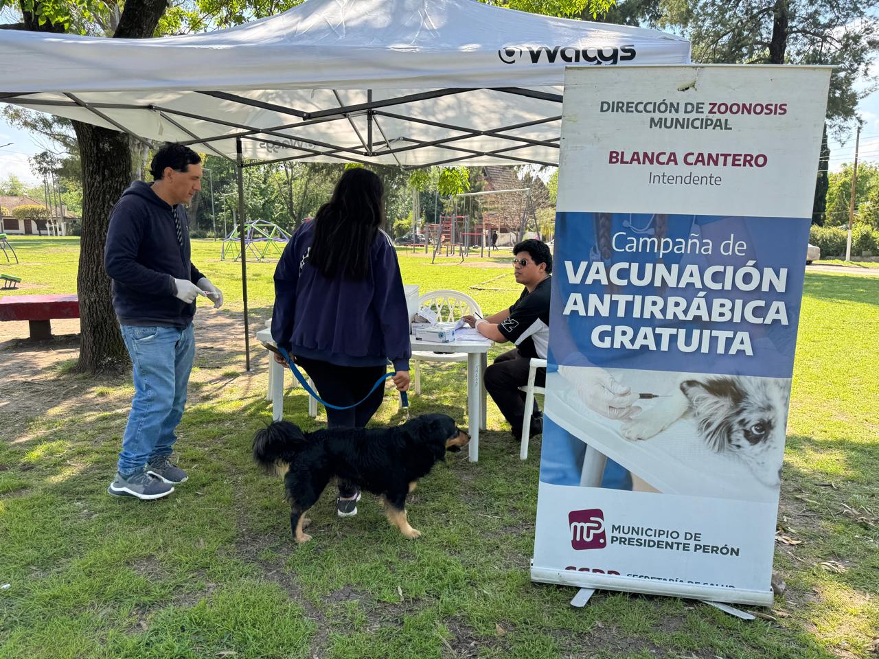 ca3b363c-c43b-4269-ac41-9e1d14ca1fe3.jpg ca3b363c-c43b-4269-ac41-9e1d14ca1fe3.jpg