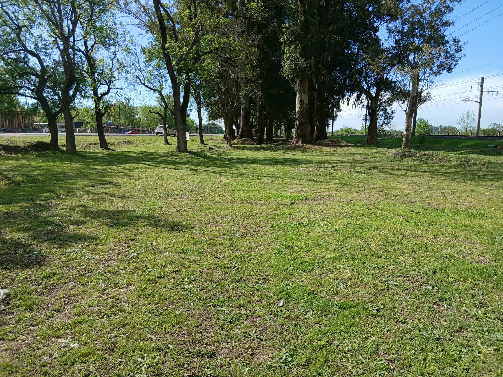 e590ea56-96ef-48a9-ba21-7027956c6b41.jpg