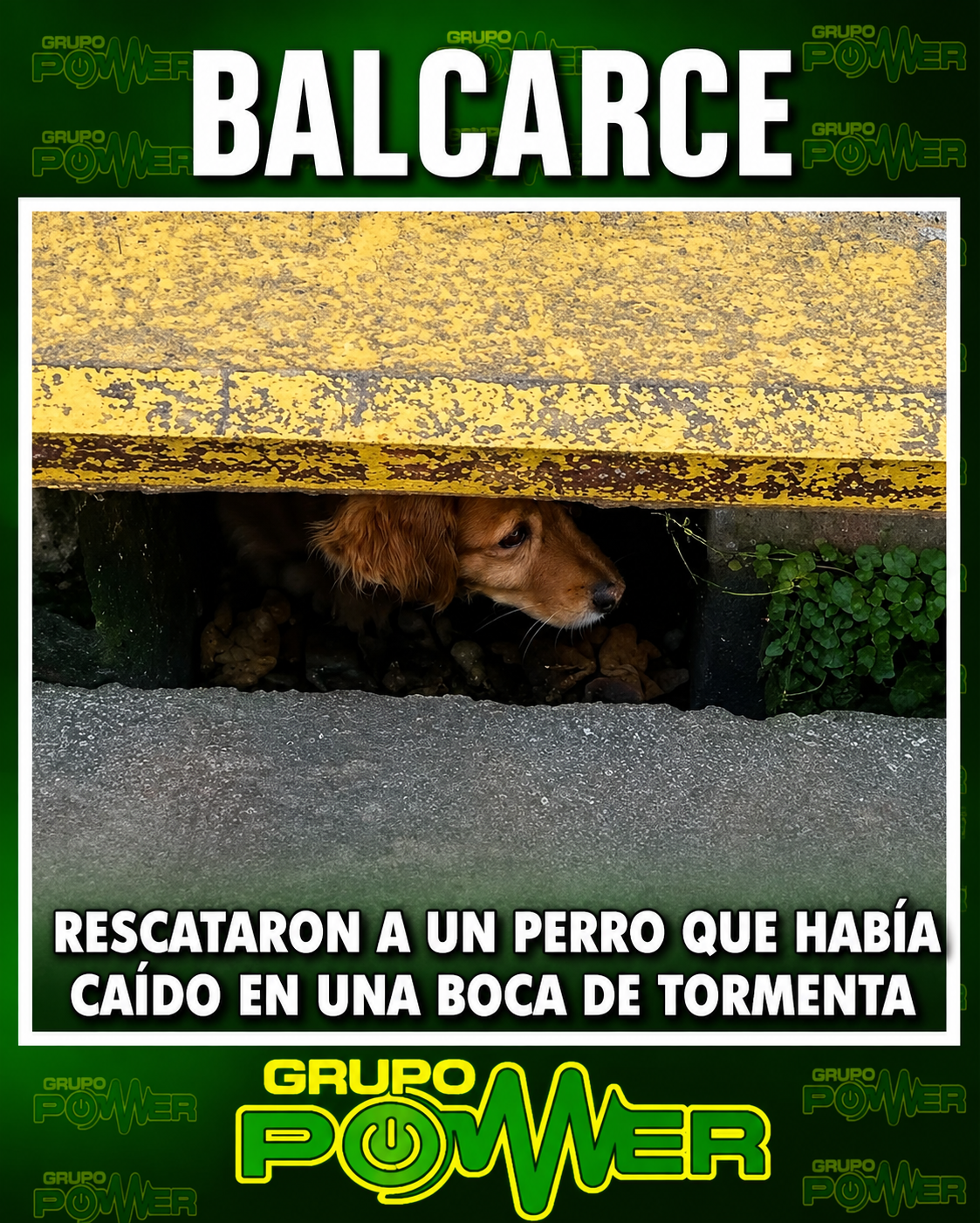 BOMBEROS RESCATARON UN PERRO