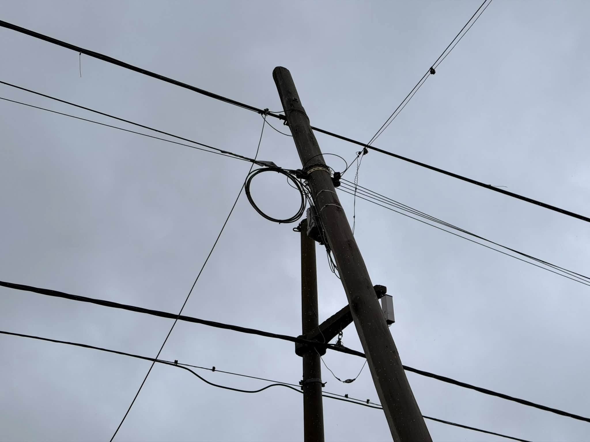 790408287_1610916690830168_8924363389294598669_n.jpg Temporal: la Línea 1 quedó fuera de servicio por la caída de ramas sobre la red eléctrica