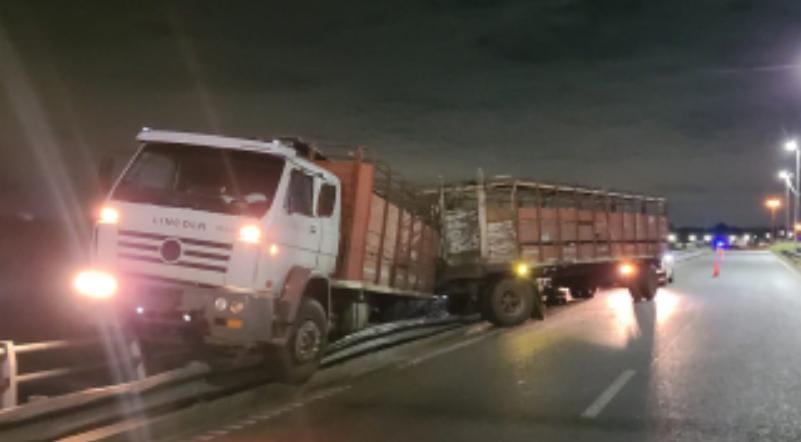 Un camión quedó colgado del puente sobre el río Luján y generó complicaciones en la Autovía 7