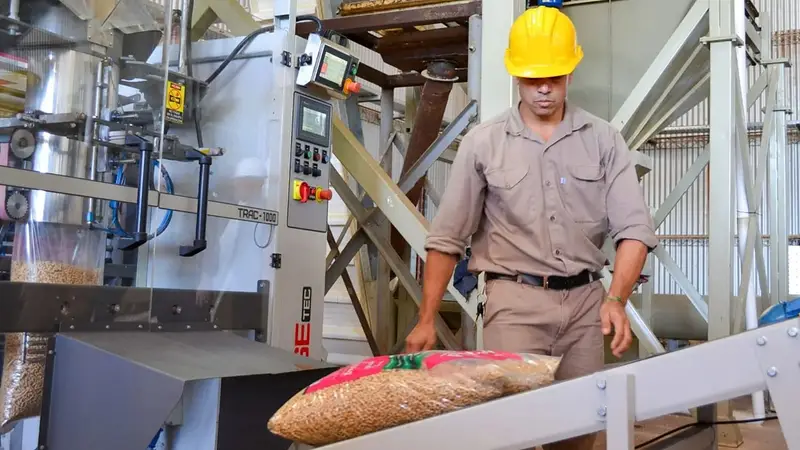 Formosa, entre las provincias con menos empresas que dan empleo: tiene apenas 2.212 firmas privadas