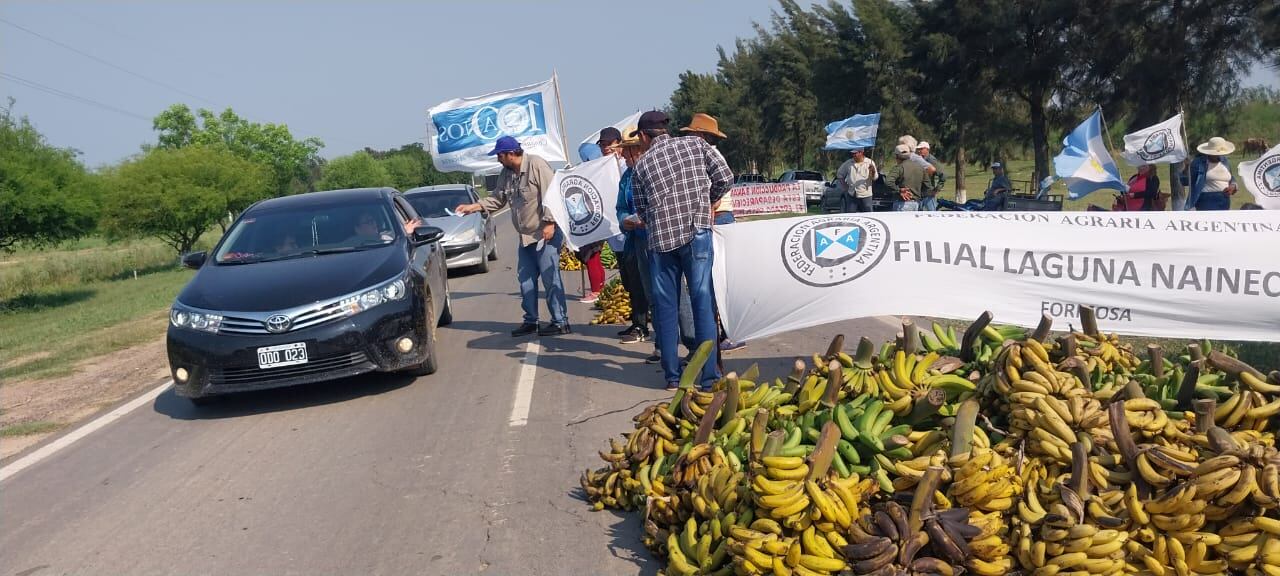 Productores de Laguna Naineck regalarán 5.000 kilos de banana para visibilizar la crisis del sector