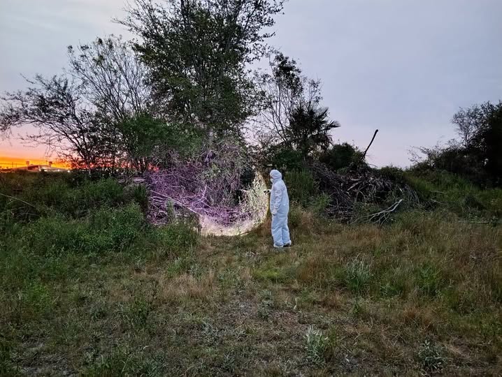 Hallaron restos óseos en un sector descampado del barrio López Guaymás