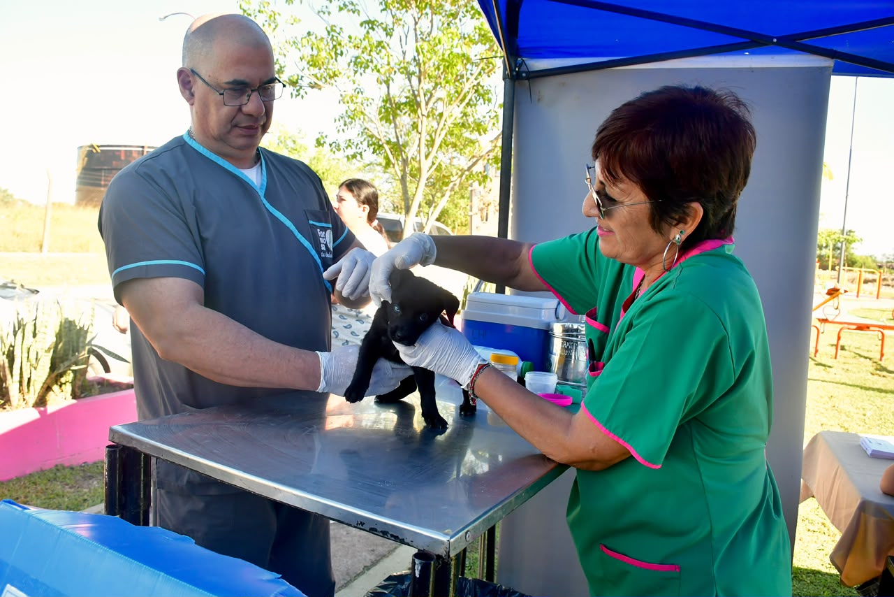 Operativo sanitario de castración, desparasitación y vacunación en el Bernardino Rivadavia